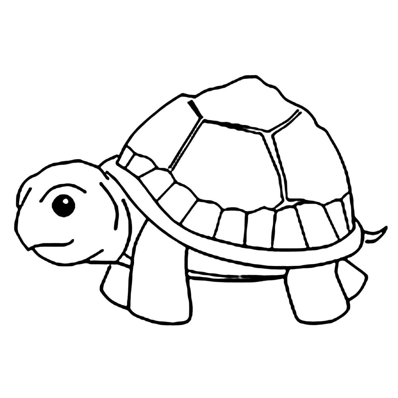 Xem Hơn 100 Ảnh Về Hình Vẽ Con Rùa - Daotaonec
