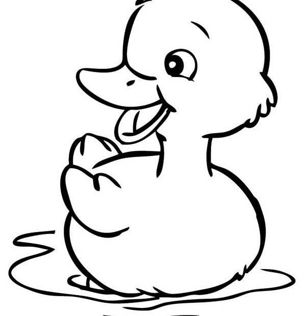 Ghim Trên Duck Coloring Pages