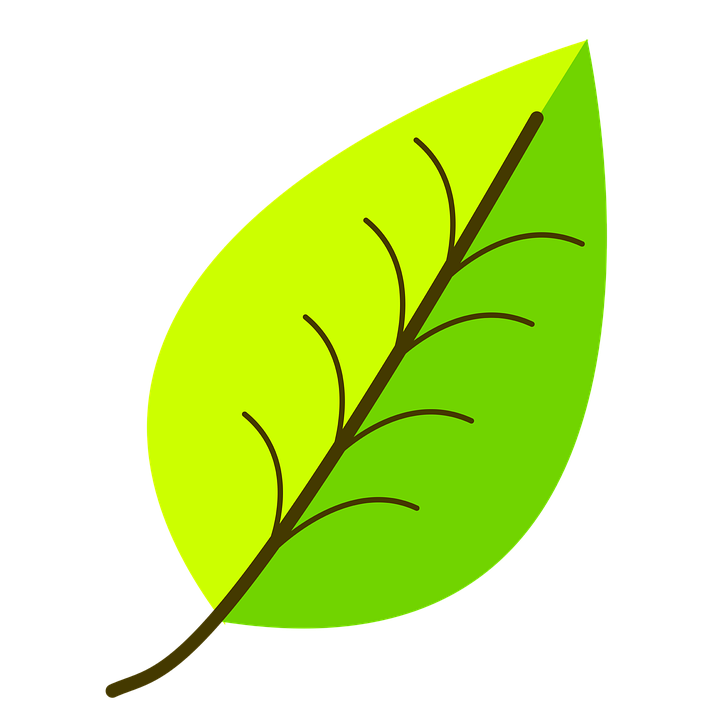 Màu Xanh Lá Cây Mẫu Sắc - Miễn Phí Vector Hình Ảnh Trên Pixabay