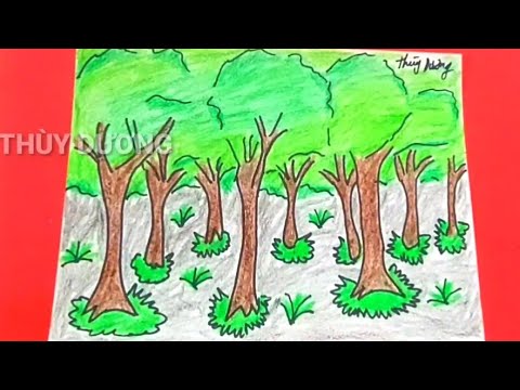 Hướng dẫn cách vẽ rừng cây lớp 2 bằng bút chì màu cho người mới bắt đầu