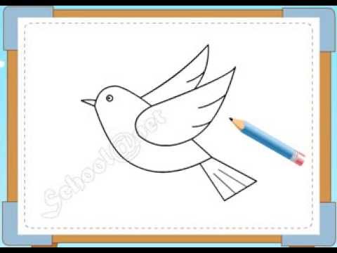Bé Họa Sĩ - Thực Hành Tập Vẽ 224: Vẽ Con Chim - Youtube