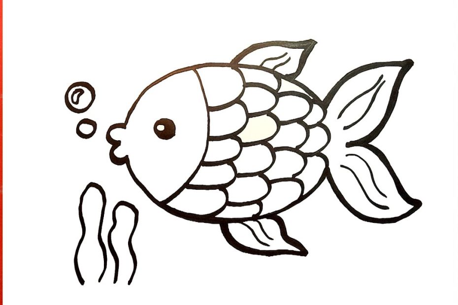 Vẽ Con Cá - Cách Vẽ Con Cá Đơn Giản - Duy Hiếu - Youtube
