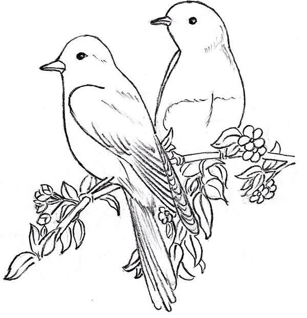 Vẽ Chim Đẹp - Cách Vẽ Chim Siêu Dễ Và Nhanh Chóng Để Tạo Nên Tác Phẩm Tuyệt  Đẹp!