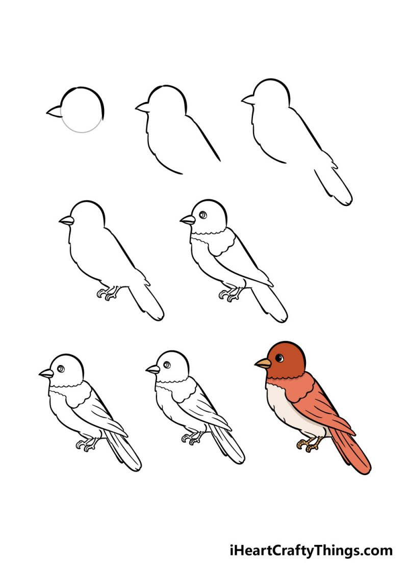 Xem Hơn 100 Ảnh Về Hình Vẽ Con Chim Đơn Giản - Daotaonec