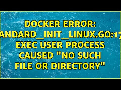 Docker Error: standard_init_linux.go:175: exec user process caused