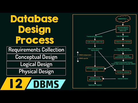 Database Design Process