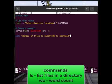 Shell scripting - Count files in any directory #shorts #linux