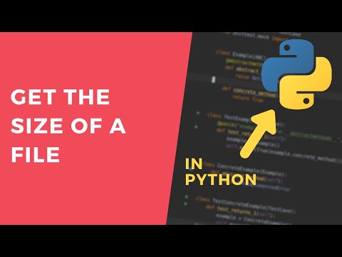 Get File Size - 1 Minute Python Tutorial #shorts