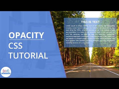 Opacity in CSS | CSS Transparent Background Color