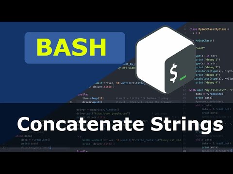 Bash Concatenate Strings