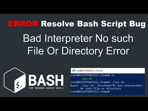 Resolve Bash Script Bad Interpreter No such File Or Directory Error