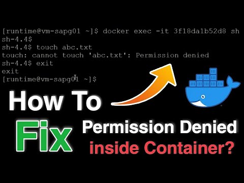 [Solved] How To Fix Permission Denied Error inside Docker Container? Docker Non-Root User Error
