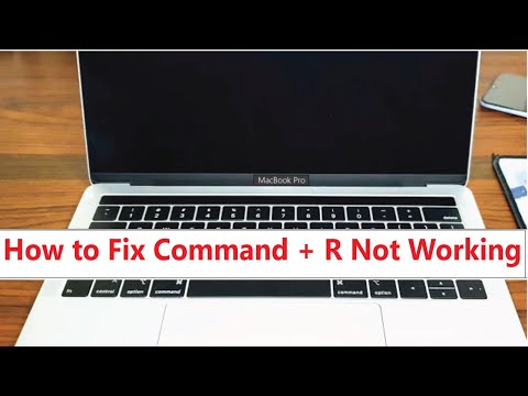 Command + R Not Working on Mac | Command and R Keys not working Mac | MacBook Pro/ MacBook Air