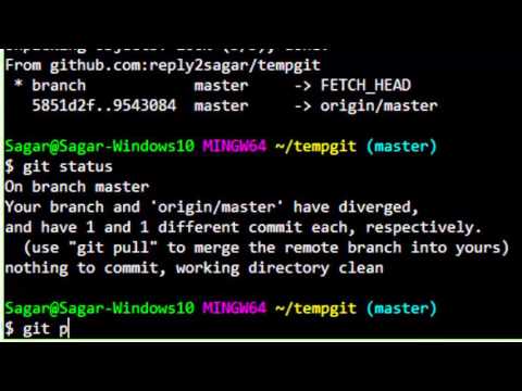 your branch and 'origin master' have diverged in Git