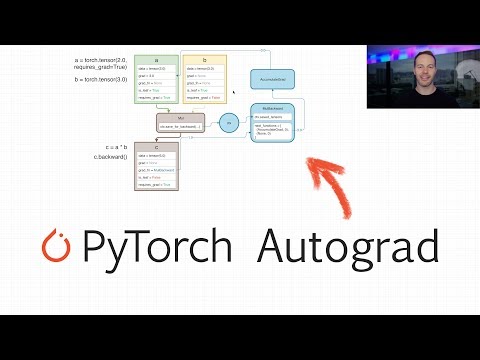 PyTorch Autograd Explained - In-depth Tutorial