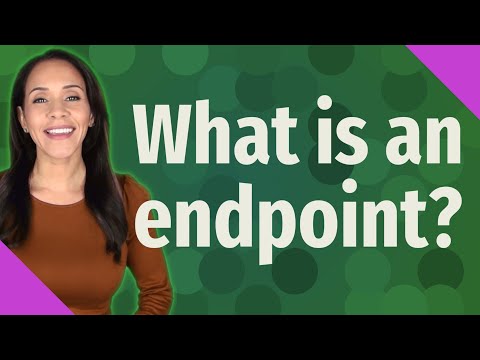 What is an endpoint?