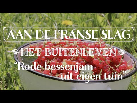 Zelf rode bessenjam met munt maken (uit eigen tuin) | Aan de Franse slag - Het buitenleven