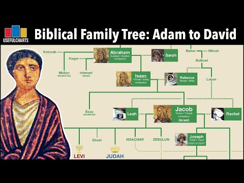 Biblical Family Tree from Adam to David