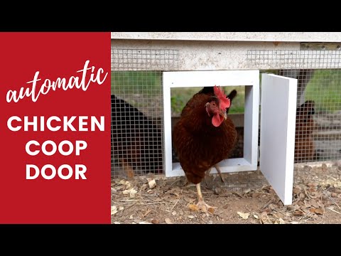 DIY Automatic Chicken Coop Door