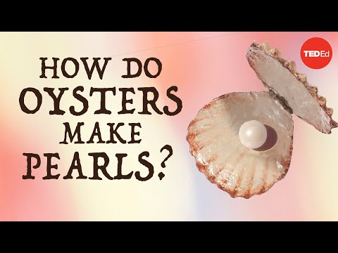 How do oysters make pearls? - Rob Ulrich