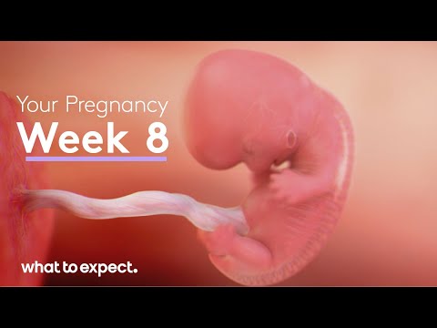 8 Weeks Pregnant - What to Expect