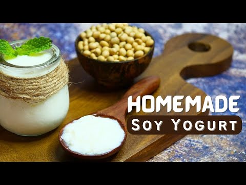 Homemade Vegan Soy Yogurt | Dairy-free Recipe 🥛🍽️🥣