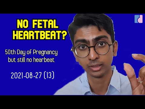 Week 7 of Pregnancy but still no fetal heartbeat | Antai Hospital