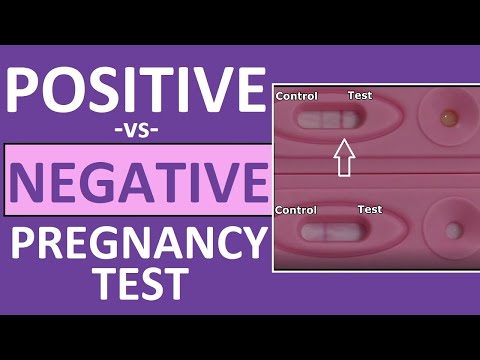 Pregnancy Test: Positive vs Negative Results Time Lapse