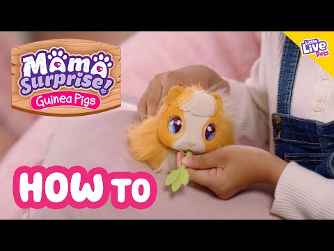 Little Live Pets | Mama Surprise | How To Care & Play