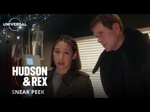 Hudson & Rex | Season Finale | Universal TV on Universal+