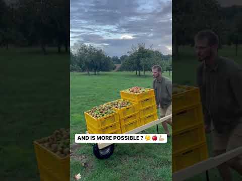 HOW MANY KILOS OF APPLES DOES LUKAS PUSH AROUND?