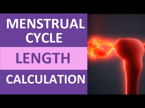 Menstrual Cycle Calendar Calculation Explained | Period Cycle Length Counting