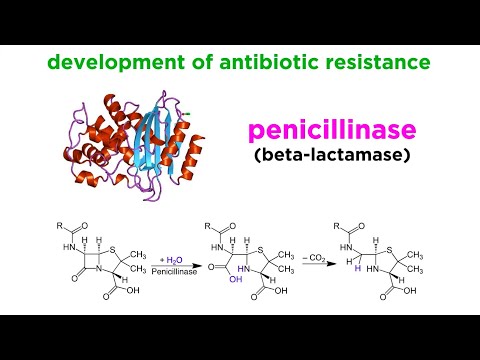 Methicillin-Resistant Staphylococcus aureus (MRSA)