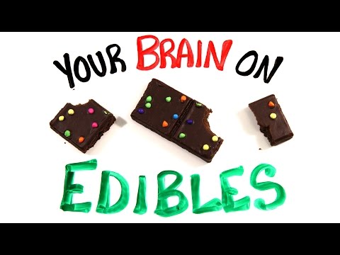 Your Brain On Edible Marijuana