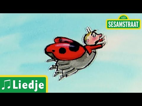 Lief lieveheersbeestje - Liedje - Sesamstraat