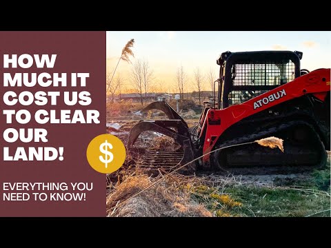 How much it really cost to clear land and how to do it!