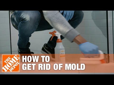 How to Get Rid of Mold | The Home Depot