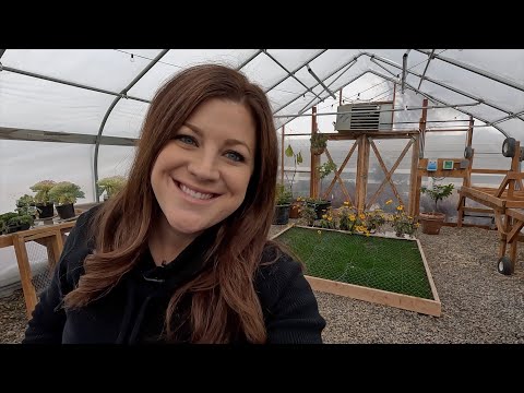 Planting & Growing Lettuce in Winter! 🥬🥬🥬 // Garden Answer