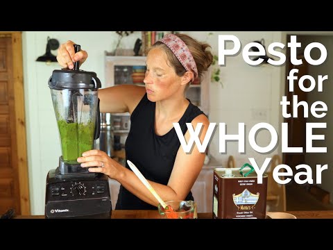 Preserving Enough Pesto for the Whole Year on our Homestead | How to Make Pesto in a Vitamix