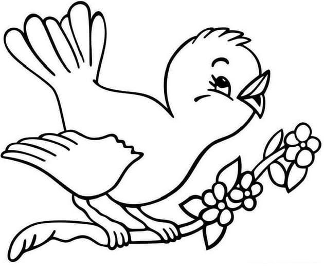 Tranh Tô Màu Con Vật Cho Bé Tập Tô, Con Mèo, Vịt, Gà, Cá, Thỏ | Bird  Coloring Pages, Animal Coloring Pages, Cartoon Coloring Pages