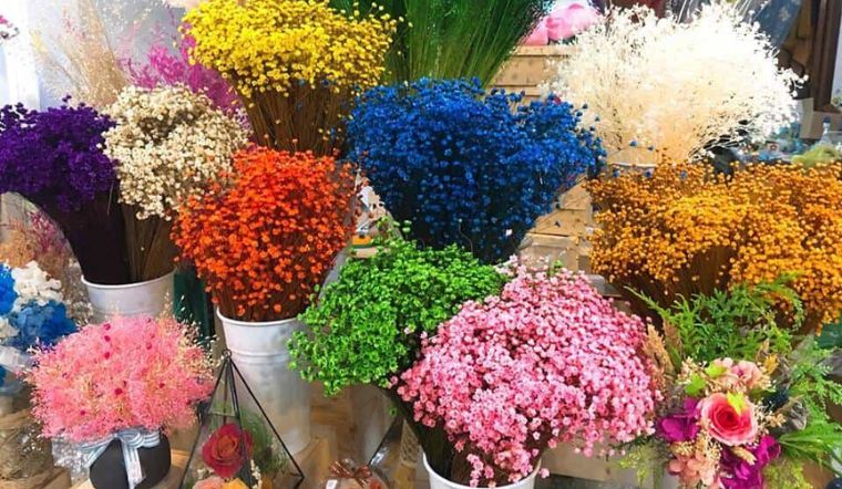 20+ mẫu hoa khô đẹp, bắt mắt, được nhiều người ưa thích 20+ Mẫu Hoa Khô Đẹp, Bắt Mắt, Được Nhiều Người Ưa Thích