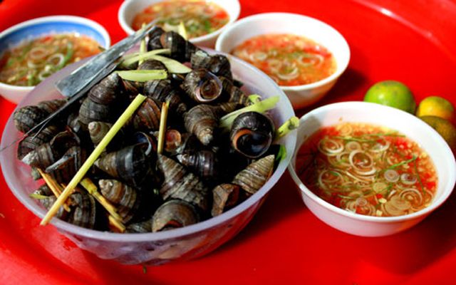 Cập nhật 99+ hình ảnh ốc mới nhất - thtantai2.edu.vn Cập Nhật 99+ Hình Ảnh Ốc Mới Nhất - Thtantai2.Edu.Vn