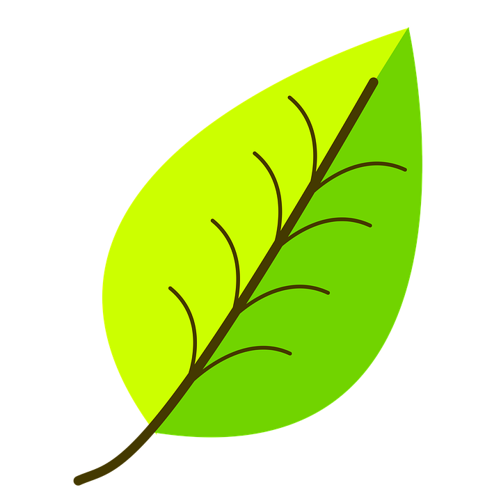 Màu Xanh Lá Cây Mẫu Sắc - Miễn Phí vector hình ảnh trên Pixabay Màu Xanh Lá Cây Mẫu Sắc - Miễn Phí Vector Hình Ảnh Trên Pixabay