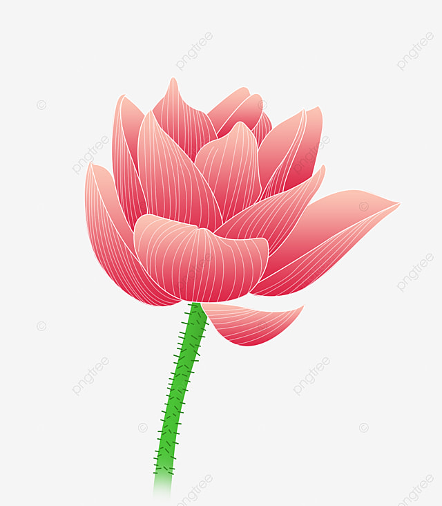 Hình ảnh Vật Liệu Vector Hoa Sen Tải Mẫu Hoa Sen Mẫu Hoa Sen Vector Hoa Sen PNG , Hình, Hoa Sen, Mô Hình Vector PNG miễn phí tải tập tin PSDComment Hình Ảnh Vật Liệu Vector Hoa Sen Tải Mẫu Hoa Sen Mẫu Hoa Sen Vector Hoa Sen Png , Hình, Hoa Sen, Mô Hình Vector Png Miễn Phí Tải Tập Tin Psdcomment