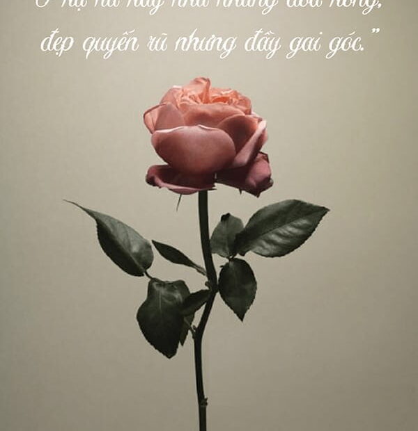 101 Stt Về Làm Đẹp Lôi Cuốn Trong Nghành Spa Và Thẩm Mỹ