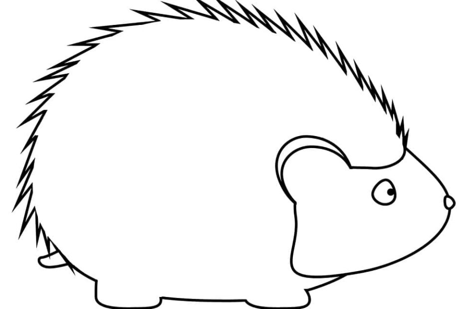 Tô Màu Con Nhím Đơn Giản - Trang Tô Màu Cho Bé