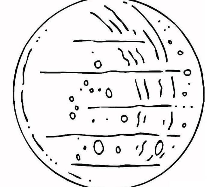 Tô Màu Sao Thủy - Trang Tô Màu Cho Bé